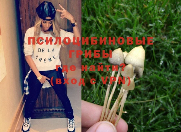 ГАЛЛЮЦИНОГЕННЫЕ ГРИБЫ Михайлов
