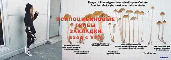 ГАЛЛЮЦИНОГЕННЫЕ ГРИБЫ Михайлов