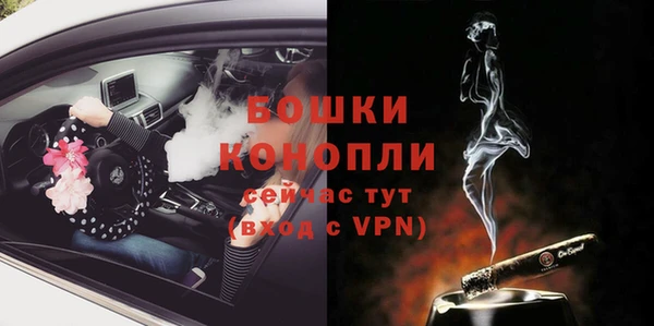 ГАЛЛЮЦИНОГЕННЫЕ ГРИБЫ Михайлов