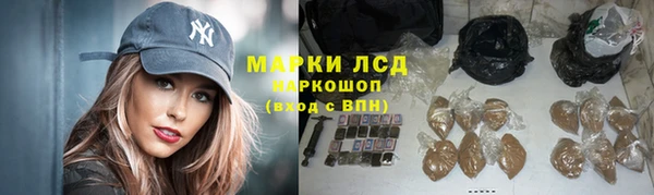 ГАЛЛЮЦИНОГЕННЫЕ ГРИБЫ Михайлов