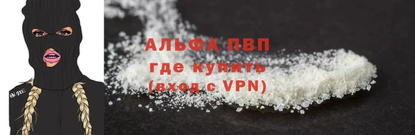 стаф Дмитриев