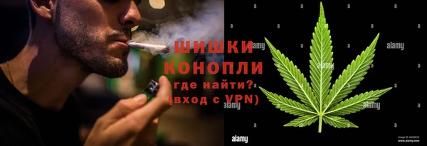 ПСИЛОЦИБИНОВЫЕ ГРИБЫ Михайловск