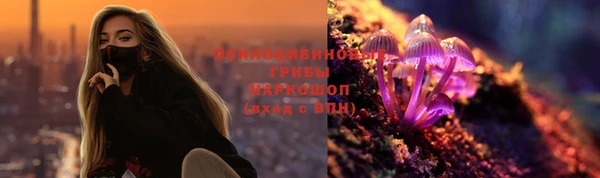 ПСИЛОЦИБИНОВЫЕ ГРИБЫ Михайловск