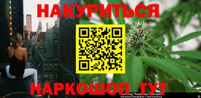 индика Волжский