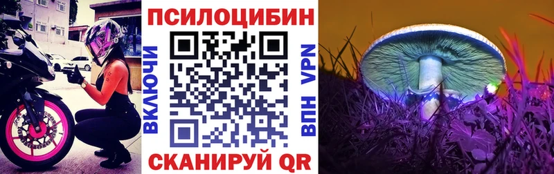 Псилоцибиновые грибы мицелий  mega зеркало  Дивногорск 