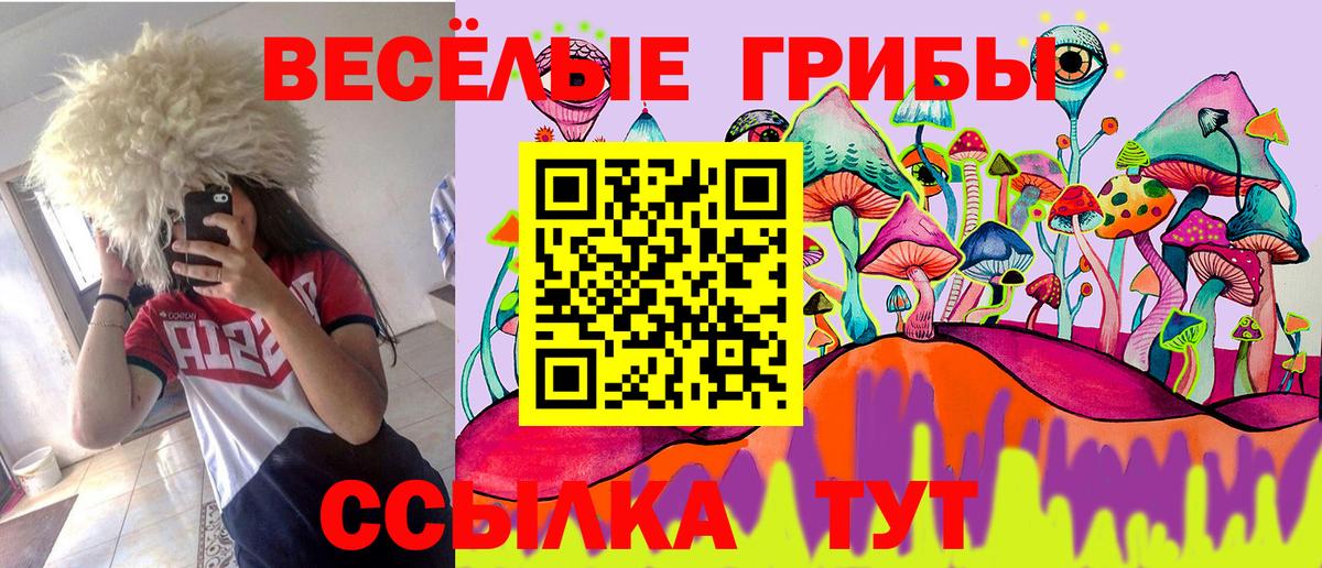 где продают   Вход с VPN  Дивногорск  Галлюциногенные грибы Psilocybine cubensis  Псилоцибиновые грибы мицелий 