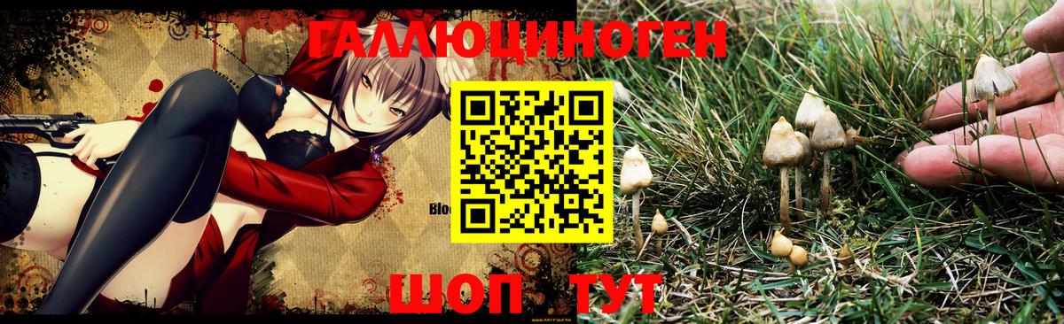 Галлюциногенные грибы GOLDEN TEACHER  Дивногорск 